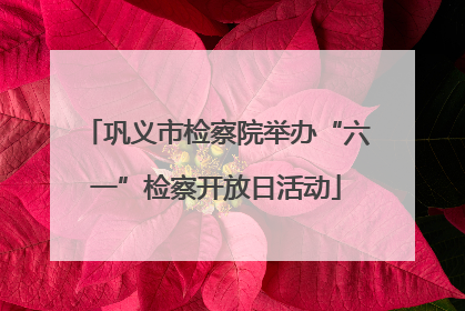 巩义市检察院举办“六一”检察开放日活动