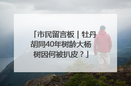 市民留言板｜牡丹胡同40年树龄大杨树因何被扒皮？