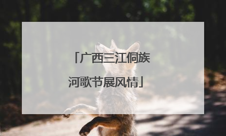 广西三江侗族河歌节展风情