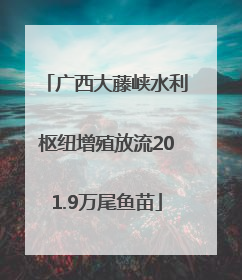 广西大藤峡水利枢纽增殖放流201.9万尾鱼苗