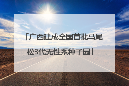 广西建成全国首批马尾松3代无性系种子园