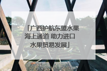 广西护航东盟水果海上通道 助力进口水果贸易发展