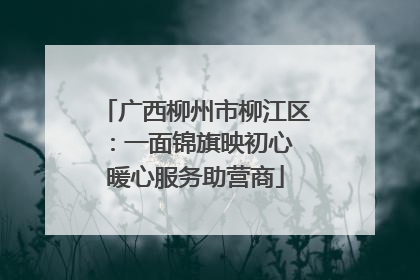 广西柳州市柳江区：一面锦旗映初心 暖心服务助营商