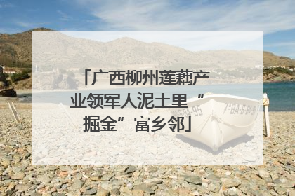 广西柳州莲藕产业领军人泥土里“掘金”富乡邻