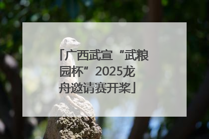 广西武宣“武粮园杯”2025龙舟邀请赛开桨
