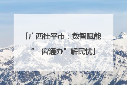 广西桂平市：数智赋能“一窗通办”解民忧