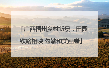 广西梧州乡村新景：田园铁路相映 勾勒和美画卷