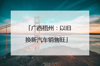 广西梧州：以旧换新汽车销售旺