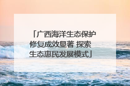广西海洋生态保护修复成效显著 探索生态惠民发展模式