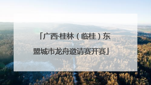 广西·桂林（临桂）东盟城市龙舟邀请赛开赛