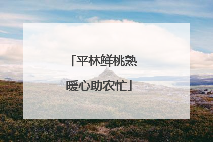 平林鲜桃熟 暖心助农忙
