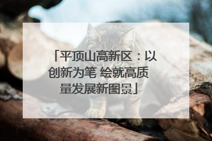 平顶山高新区：以创新为笔 绘就高质量发展新图景