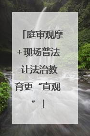 庭审观摩+现场普法 让法治教育更“直观”