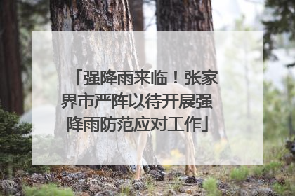 强降雨来临！张家界市严阵以待开展强降雨防范应对工作