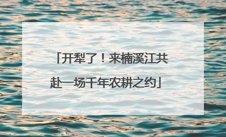 开犁了！来楠溪江共赴一场千年农耕之约