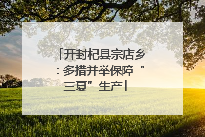 开封杞县宗店乡：多措并举保障“三夏”生产