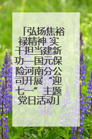 弘扬焦裕禄精神 实干担当建新功—国元保险河南分公司开展“迎七一”主题党日活动