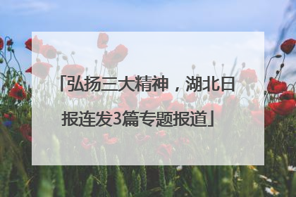 弘扬三大精神，湖北日报连发3篇专题报道