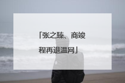 张之臻、商竣程再退温网