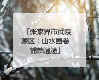 张家界市武陵源区：山水画卷铺就通途