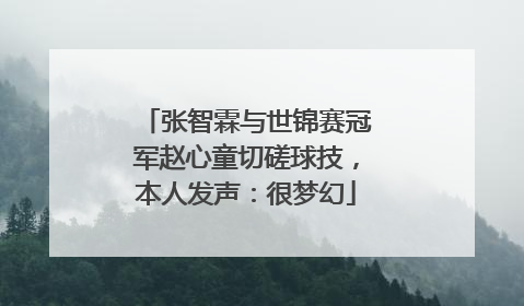 张智霖与世锦赛冠军赵心童切磋球技，本人发声：很梦幻