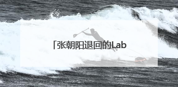 张朝阳退回的Labubu，换了一辆车