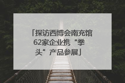 探访西博会南充馆 62家企业携“拳头”产品参展