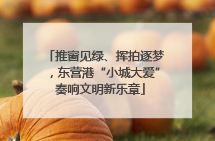 推窗见绿、挥拍逐梦，东营港“小城大爱”奏响文明新乐章