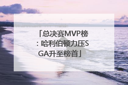 总决赛MVP榜：哈利伯顿力压SGA升至榜首