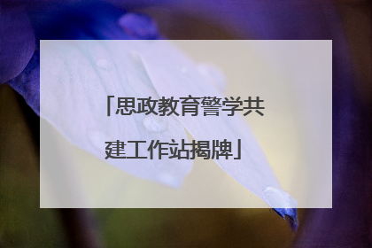 思政教育警学共建工作站揭牌