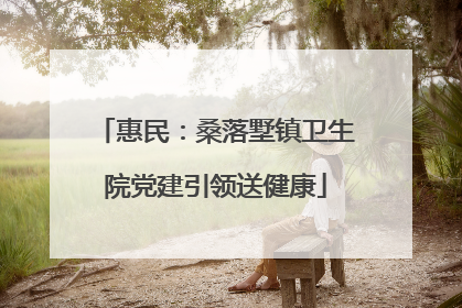 惠民：桑落墅镇卫生院党建引领送健康