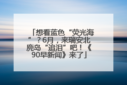 想看蓝色“荧光海”？6月，来瑞安北麂岛“追泪”吧！《90早新闻》来了