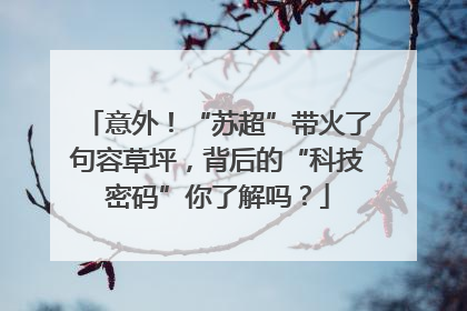 意外！“苏超”带火了句容草坪，背后的“科技密码”你了解吗？