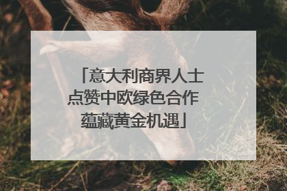 意大利商界人士点赞中欧绿色合作蕴藏黄金机遇