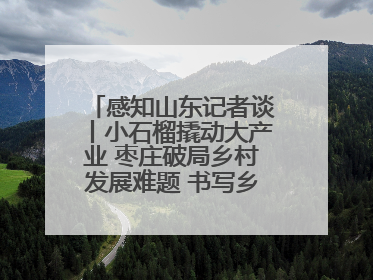 感知山东记者谈丨小石榴撬动大产业 枣庄破局乡村发展难题 书写乡村共富答卷