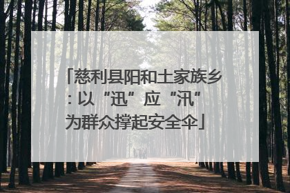 慈利县阳和土家族乡：以“迅”应“汛” 为群众撑起安全伞