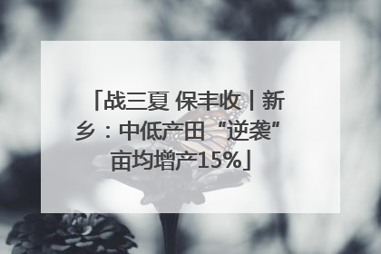 战三夏 保丰收丨新乡：中低产田“逆袭” 亩均增产15%