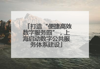 打造“便捷高效数字服务圈”，上海启动数字公共服务体系建设