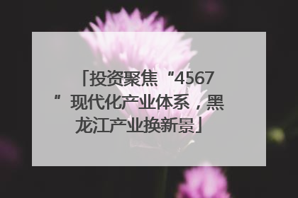 投资聚焦“4567”现代化产业体系，黑龙江产业换新景