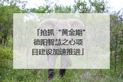 抢抓“黄金期” 德阳智慧之心项目建设加速推进