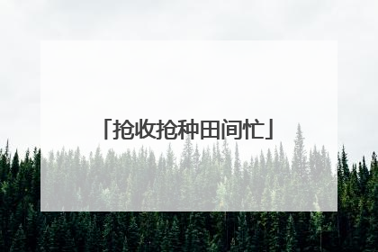 抢收抢种田间忙