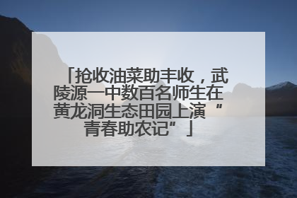 抢收油菜助丰收，武陵源一中数百名师生在黄龙洞生态田园上演“青春助农记”