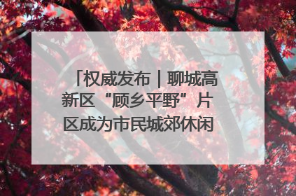 权威发布｜聊城高新区“顾乡平野”片区成为市民城郊休闲全新目的地