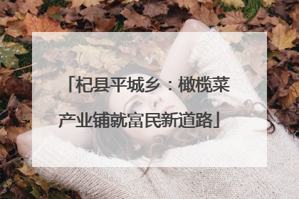 杞县平城乡：橄榄菜产业铺就富民新道路