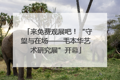 来免费观展吧！“守望与在场——毛本华艺术研究展”开幕