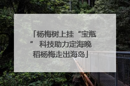 杨梅树上挂“宝瓶” 科技助力定海晚稻杨梅走出海岛