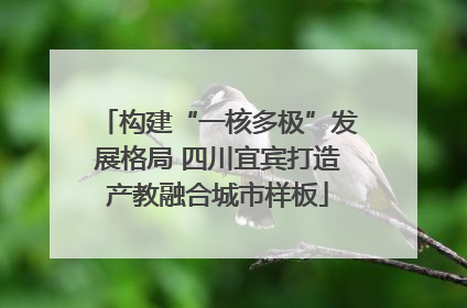 构建“一核多极”发展格局 四川宜宾打造产教融合城市样板