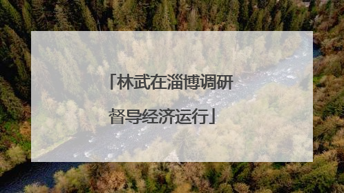 林武在淄博调研督导经济运行