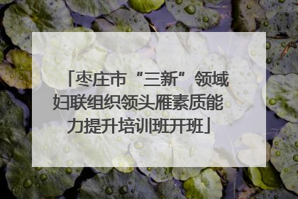 枣庄市“三新”领域妇联组织领头雁素质能力提升培训班开班