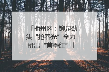 播州区：铆足劲头“抢春光”全力拼出“首季红”